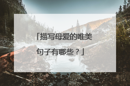 描写母爱的唯美句子有哪些？