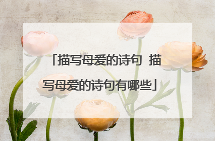 描写母爱的诗句 描写母爱的诗句有哪些
