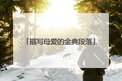 描写母爱的金典段落