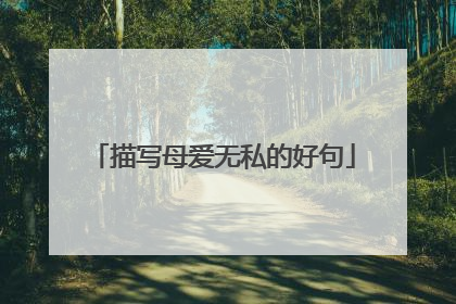 描写母爱无私的好句