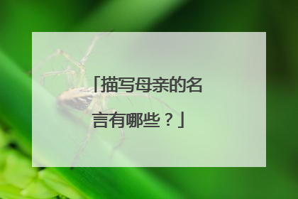 描写母亲的名言有哪些？