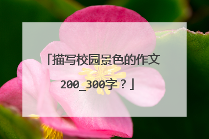 描写校园景色的作文200_300字？