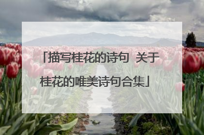 描写桂花的诗句 关于桂花的唯美诗句合集