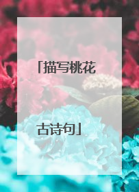 描写桃花古诗句