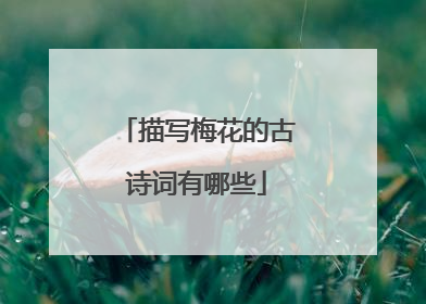 描写梅花的古诗词有哪些