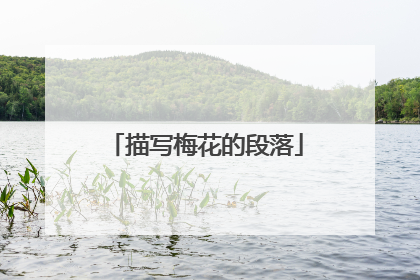 描写梅花的段落