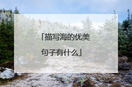 描写海的优美句子有什么