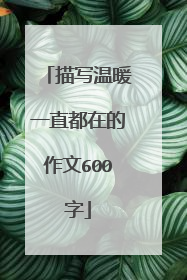 描写温暖一直都在的作文600字