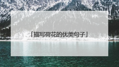 描写荷花的优美句子