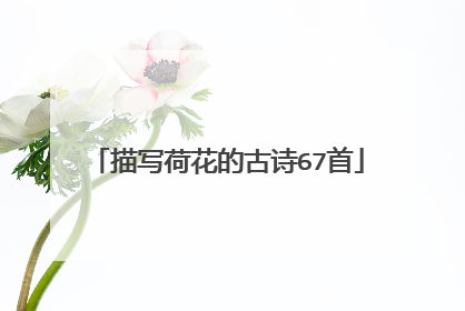 描写荷花的古诗67首