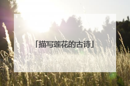 描写莲花的古诗