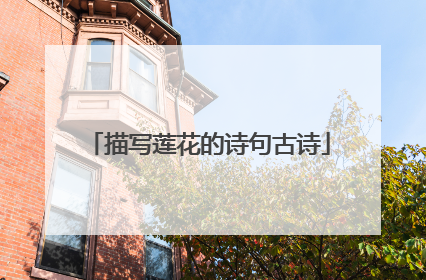 描写莲花的诗句古诗