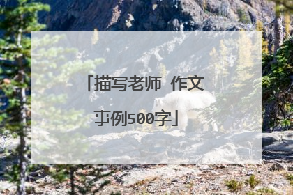 描写老师 作文事例500字