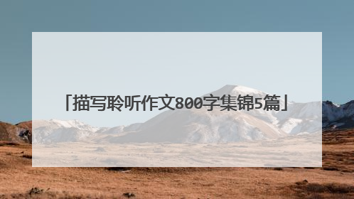 描写聆听作文800字集锦5篇