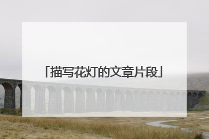 描写花灯的文章片段