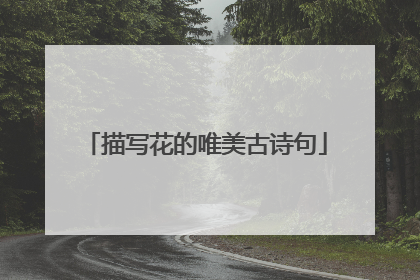 描写花的唯美古诗句