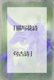 描写花诗句古诗