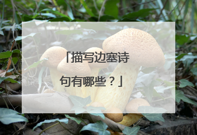 描写边塞诗句有哪些？