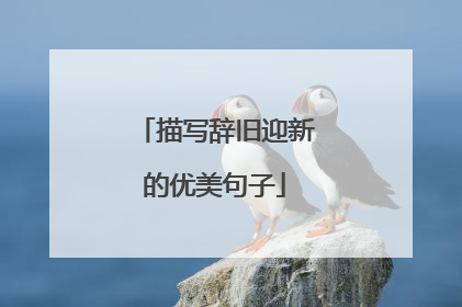 描写辞旧迎新的优美句子