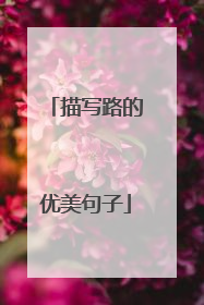 描写路的优美句子