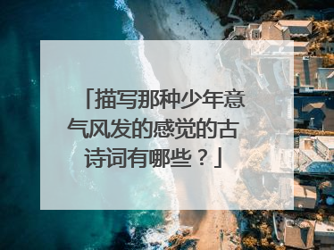 描写那种少年意气风发的感觉的古诗词有哪些？