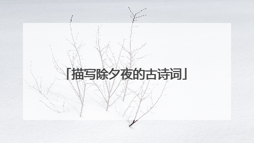 描写除夕夜的古诗词