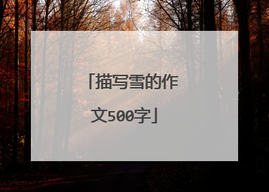 描写雪的作文500字