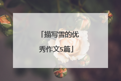 描写雪的优秀作文5篇
