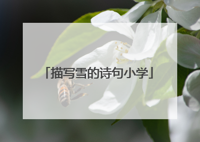 描写雪的诗句小学