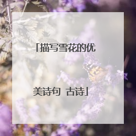 描写雪花的优美诗句 古诗