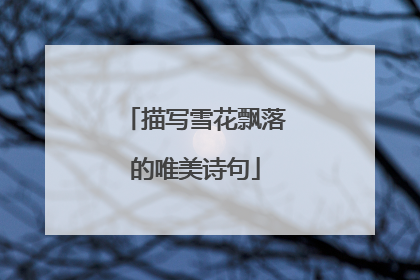 描写雪花飘落的唯美诗句