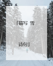 描写 雪 诗句