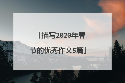 描写2020年春节的优秀作文5篇