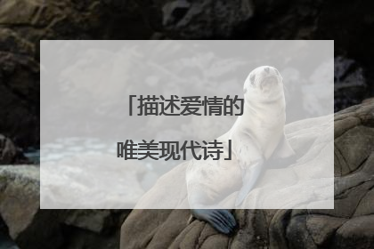 描述爱情的唯美现代诗