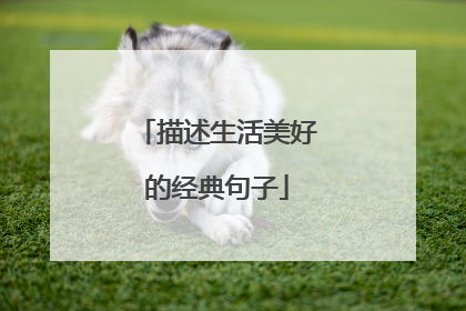 描述生活美好的经典句子