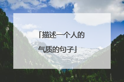 描述一个人的气质的句子