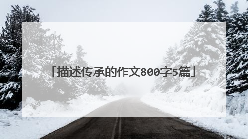 描述传承的作文800字5篇