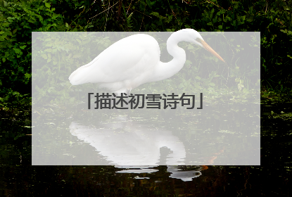 描述初雪诗句