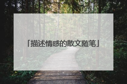 描述情感的散文随笔