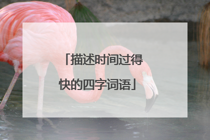 描述时间过得快的四字词语