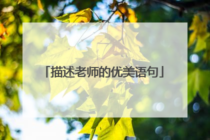 描述老师的优美语句