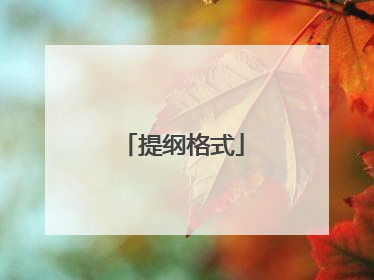 提纲格式