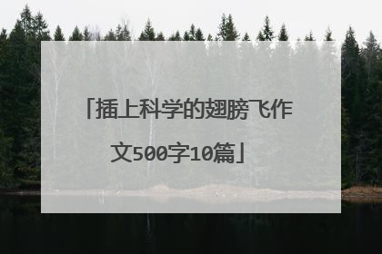插上科学的翅膀飞作文500字10篇