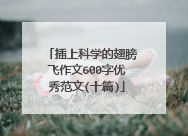 插上科学的翅膀飞作文600字优秀范文(十篇)