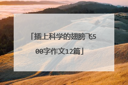 插上科学的翅膀飞500字作文12篇