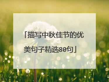 描写中秋佳节的优美句子精选80句