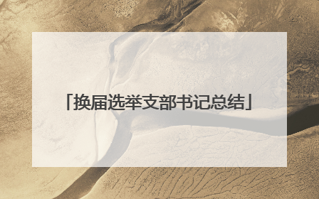 换届选举支部书记总结