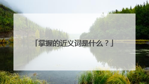 掌握的近义词是什么？