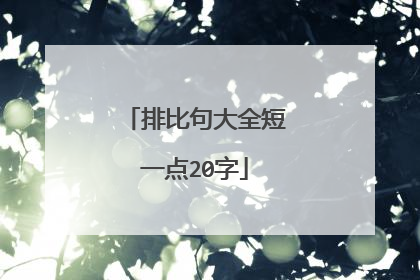排比句大全短一点20字