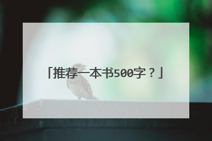 推荐一本书500字？
